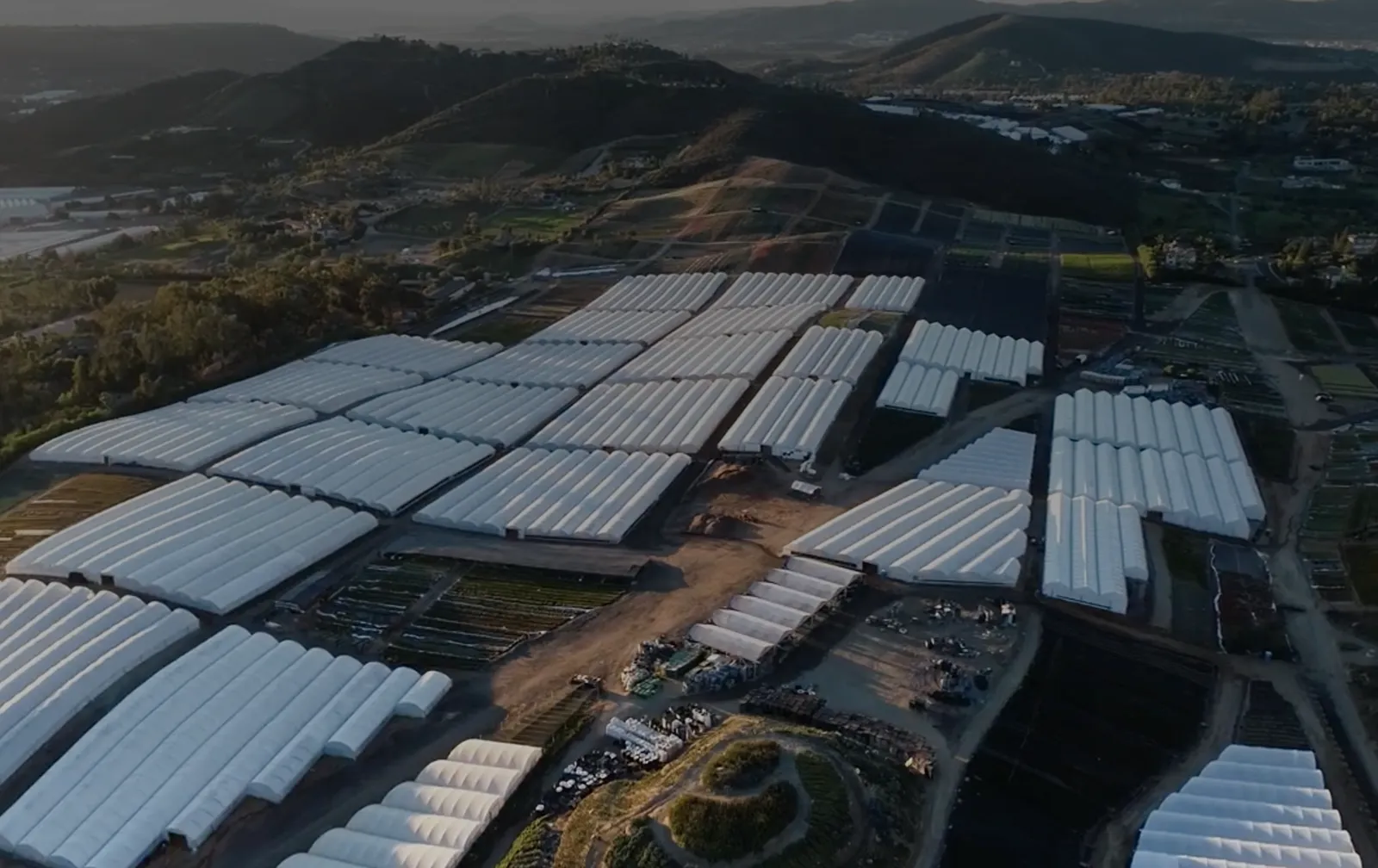 Commercial greenhouses.