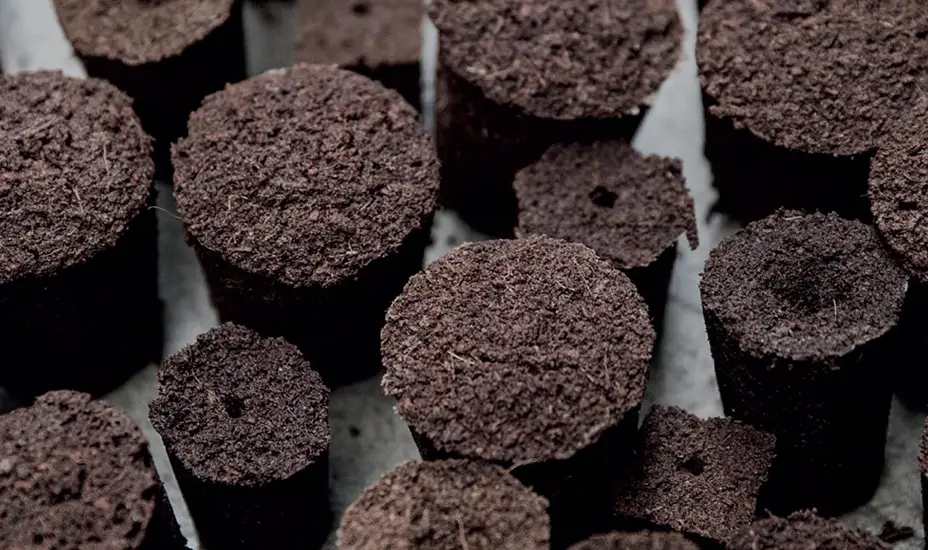 Several round, dark brown peat pellets, some with openings at the top, are arranged closely together on a flat surface. The texture appears rough and earthy, indicating they are used for gardening or seed starting.