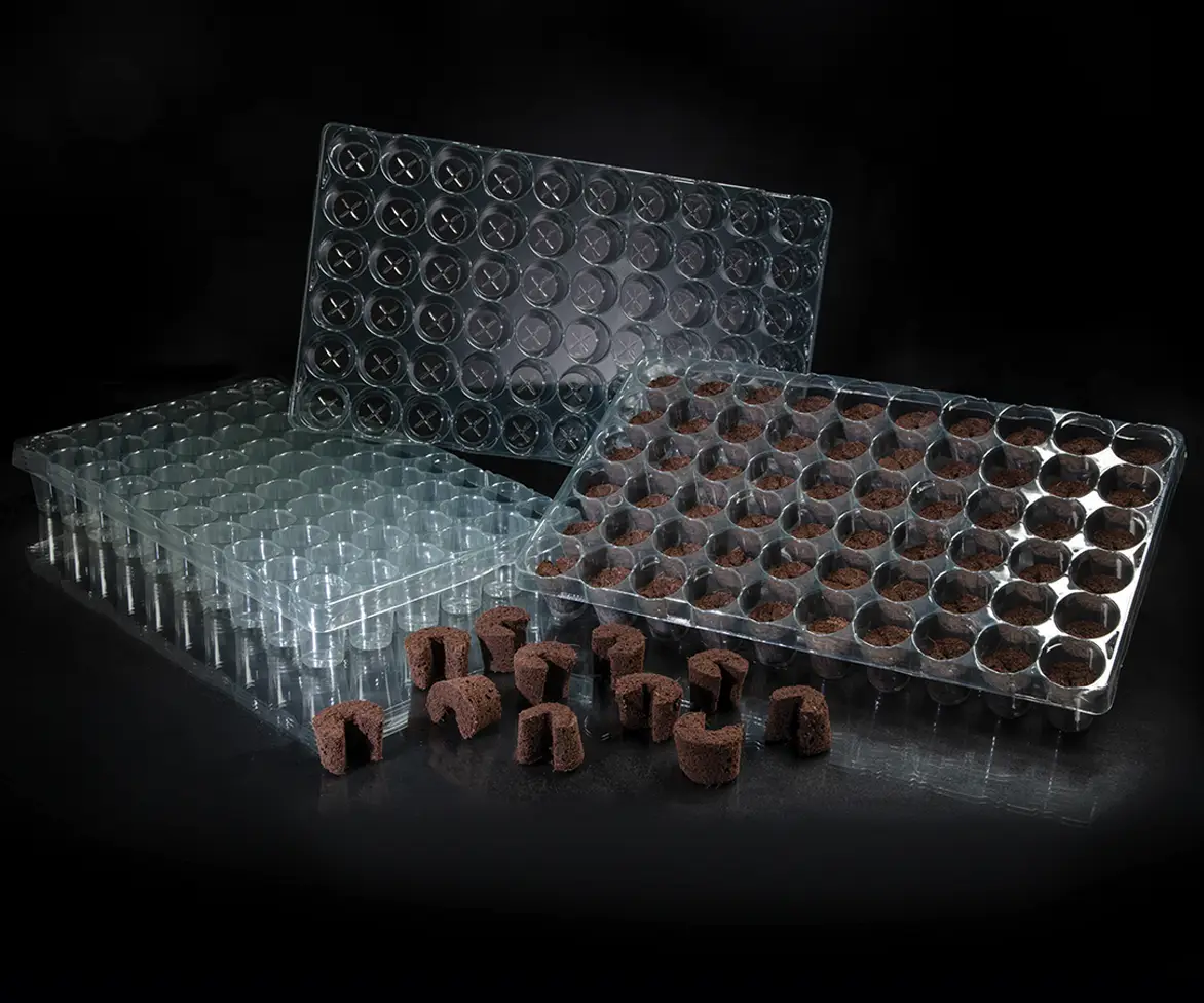 Three clear plastic seedling trays, two stacked and one upright, with brown soil plugs filling some cells. Several soil plugs are placed in front of the trays, all against a black background.