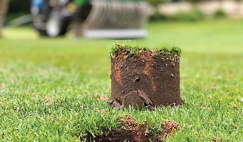 A close-up of a cylindrical plug of grass and soil removed from a lawn, with blurred gardening equipment in the background.