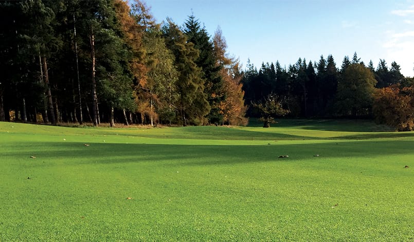 A well-manicured golf course with lush green grass, surrounded by tall trees with autumn foliage under a clear blue sky.