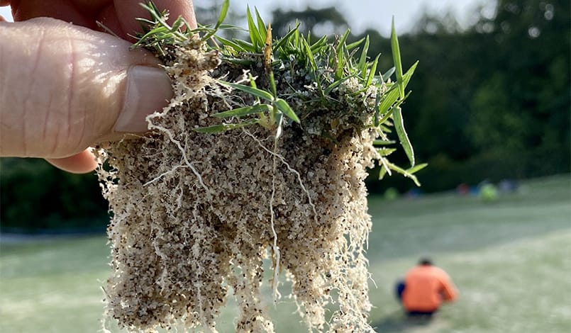 A close-up of a hand holding a clump of grass with visible roots and soil, with blurred people working on a grassy field in the background.