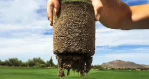 A hand holds up a cylindrical soil core with grass on top and roots hanging from the bottom. A golf course and distant hills are visible in the background under a blue sky.