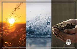Sun, water, earth.