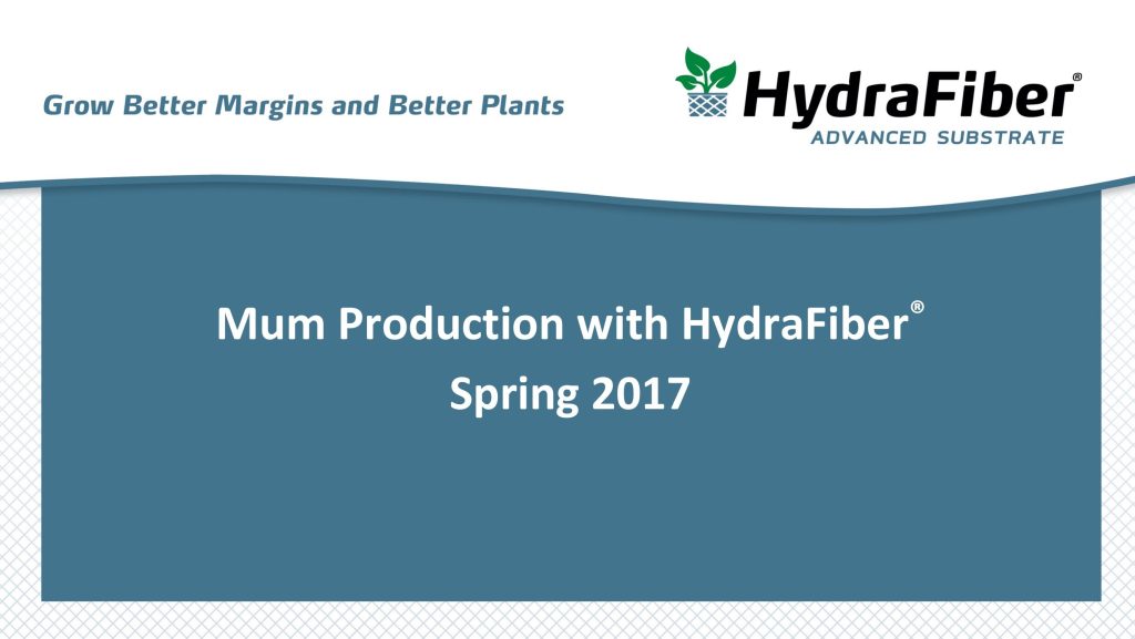 Mum production brochure.
