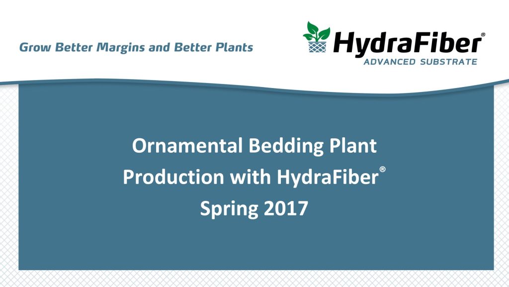 Ornamental bedding plant production brochure.