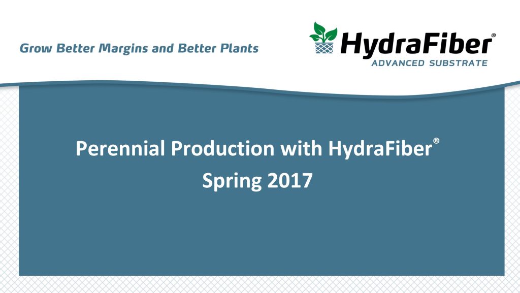 Perennial Production brochure.