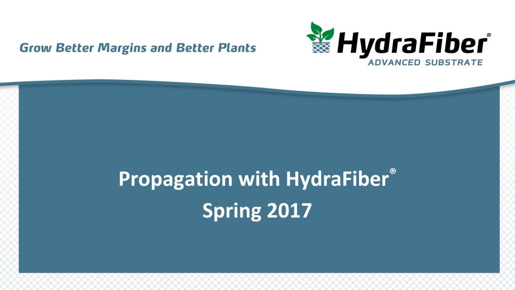 Propagation Brochure.