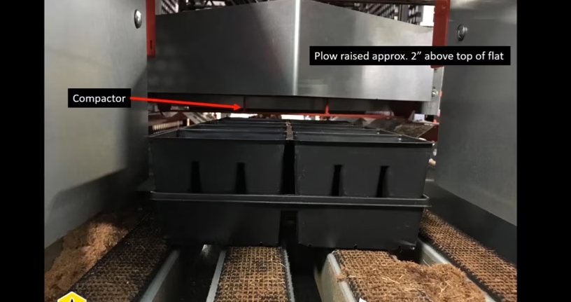 Seedling tray in automation filling line.