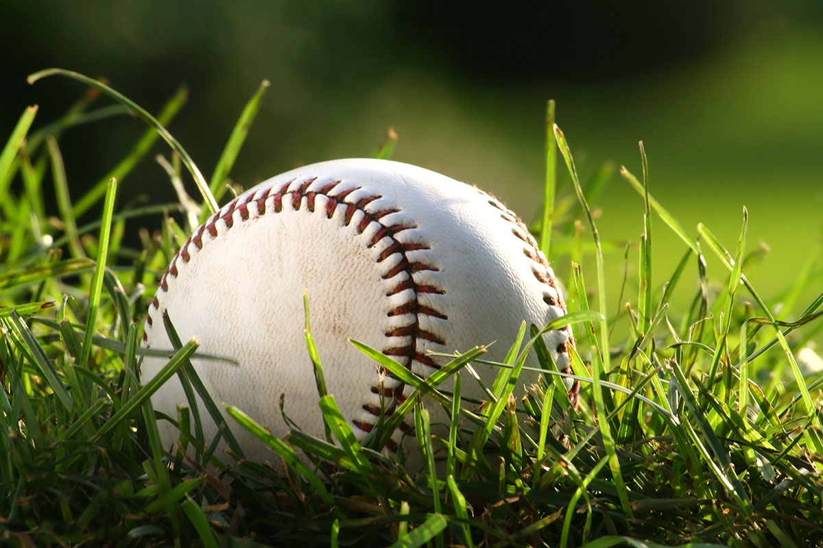 A close-up of a white baseball with red stitching resting in green grass, with sunlight creating a natural, outdoor setting.