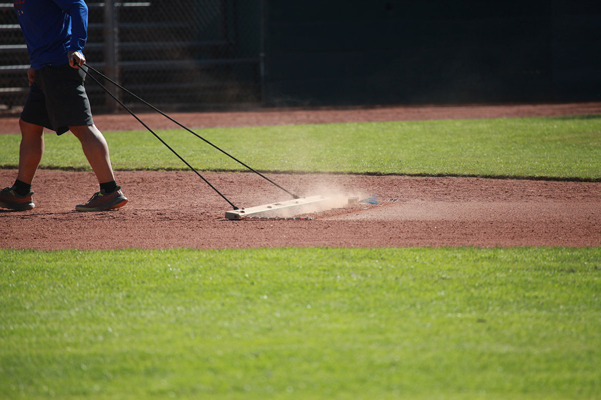 Person dragging a dirt rake to groom the infield of a baseball field, kicking up dust as they walk, with green grass and a chain-link fence visible in the background.