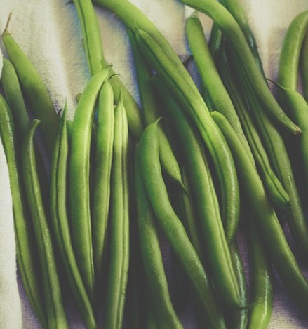Fresh green beans laid out on a light cloth background.