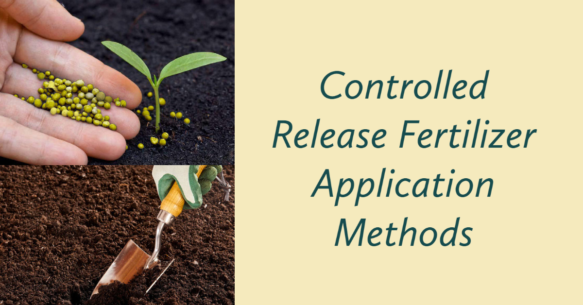 Controlled Release Fertilizer Application Methods graphic showing fertilizer granules being applied to soil and planted containers.