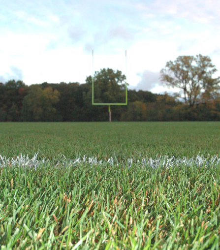 Football field.