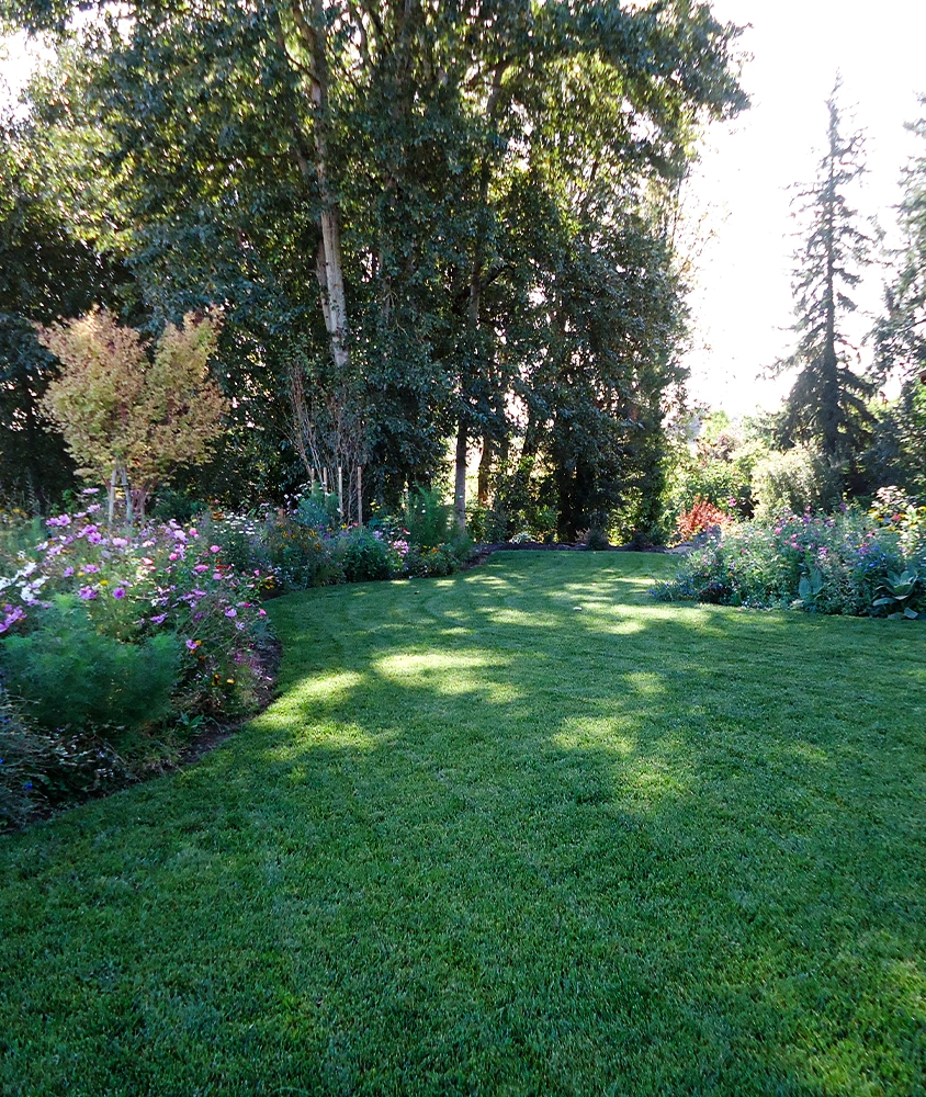 Landscaped green space.