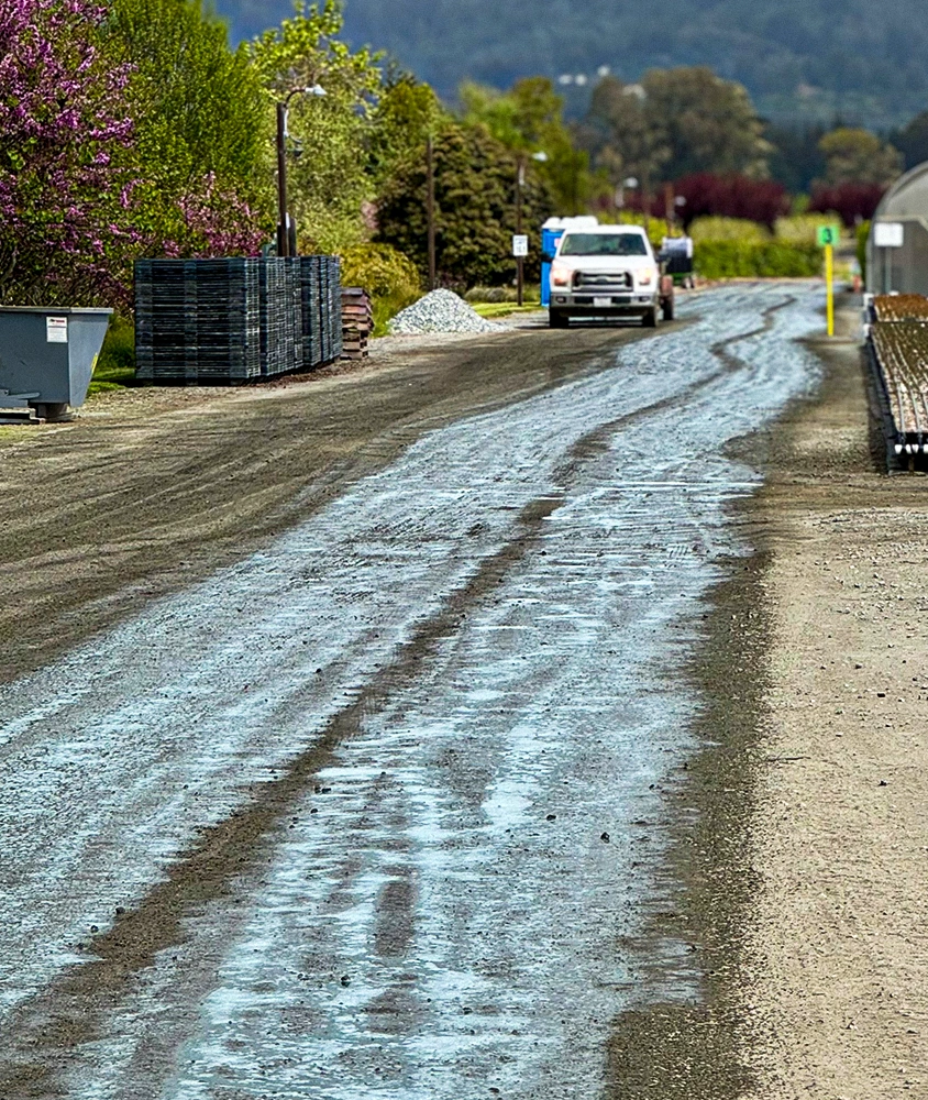 Dust control applied product.