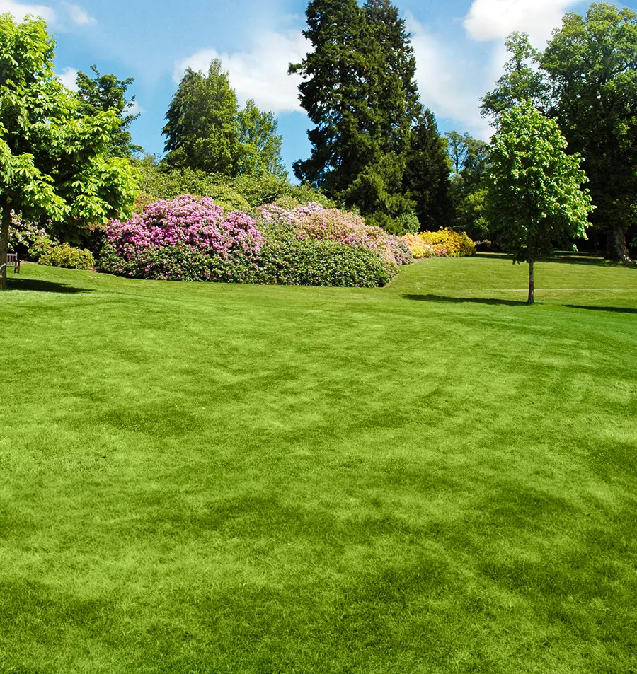 Landscaped lawn and flower bed.