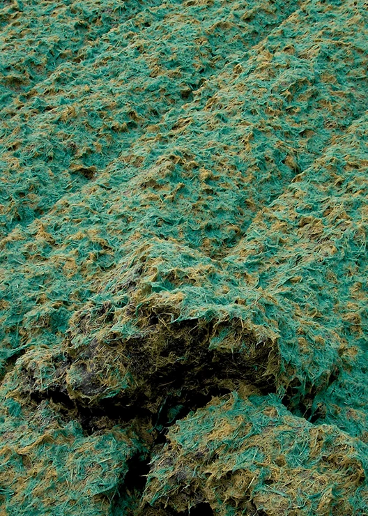 Green stablizers.