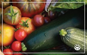 An assortment of fresh vegetables including tomatoes and zucchini.