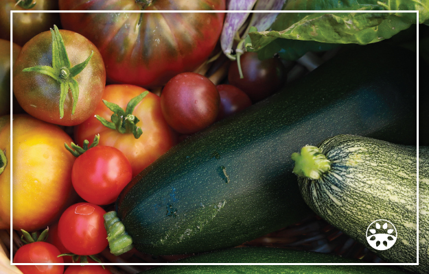 An assortment of fresh vegetables including tomatoes and zucchini.