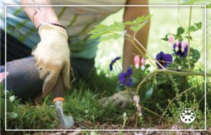 Gardener planting flowers with text overlay reading “Florida Garden and Landscape Guide for June.”