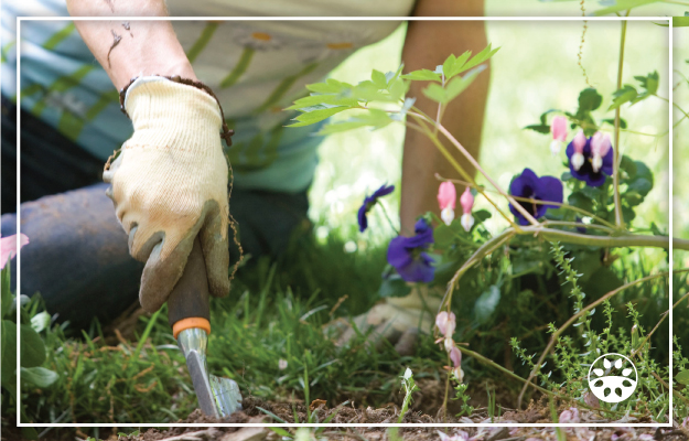Gardener planting flowers with text overlay reading “Florida Garden and Landscape Guide for June.”