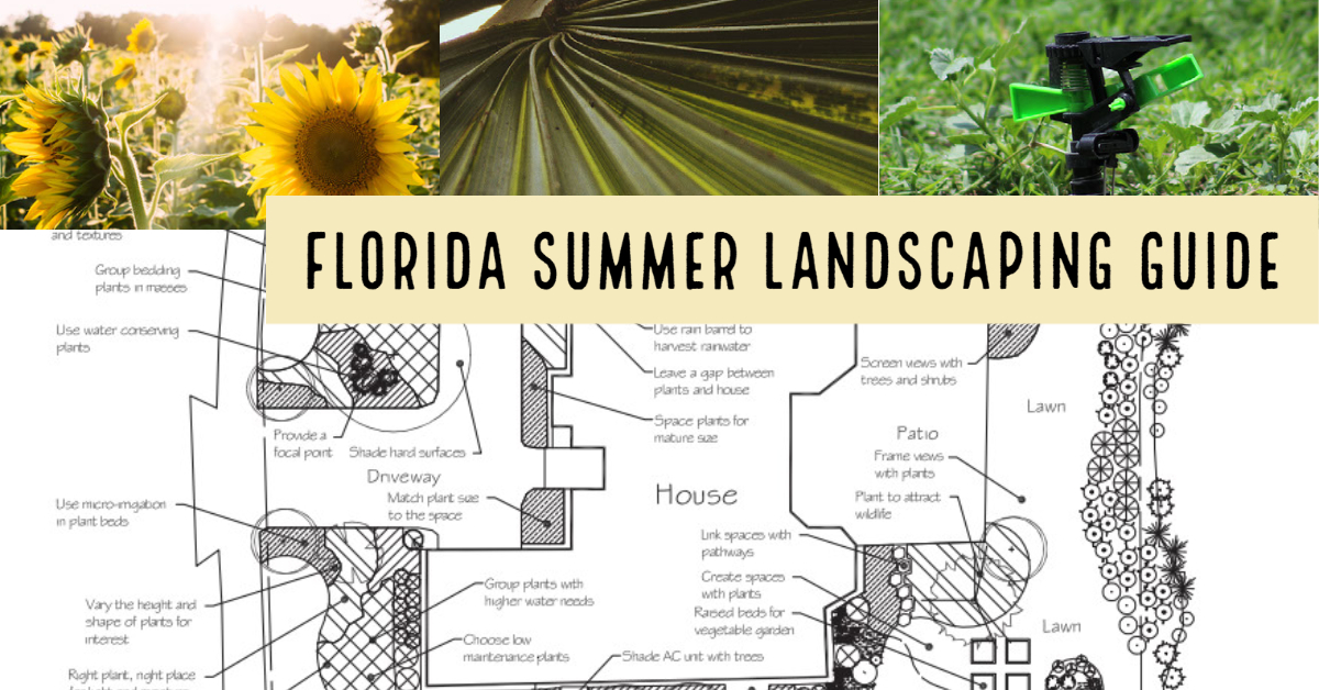 Collage cover reading “Florida Summer Landscaping Guide” with plants, irrigation, and landscape design sketches.