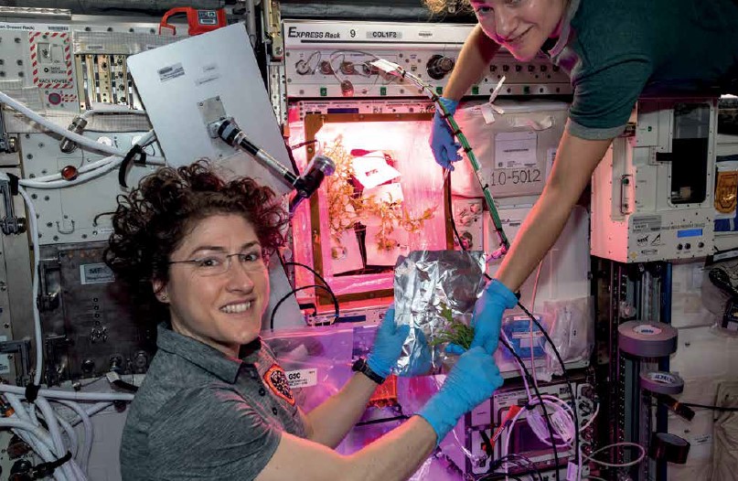 Two astronauts tending plants inside a glowing plant growth chamber on the International Space Station.