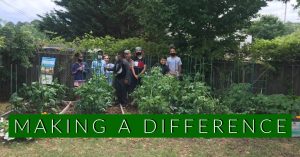 Wide view of a community garden with a group standing in the background and the words “Making a Difference” across the bottom.