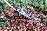 Groundskeeper using a rake to spread soil conditioner evenly across a grass surface.