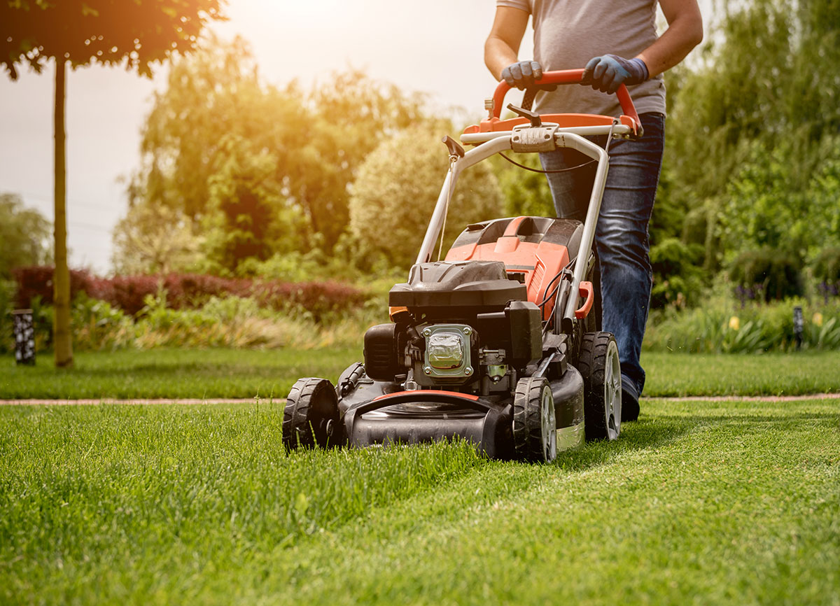 Person wearing gloves mowing a green lawn with an orange and black lawn mower on a sunny day, surrounded by trees and shrubs.