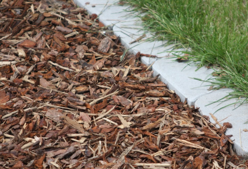 Brown wood mulch spread beside a concrete border separating a garden bed from green grass.