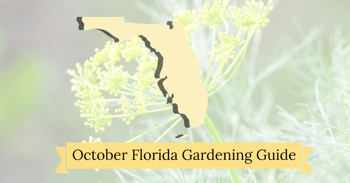 Cover image reading “October Florida Gardening Guide” with a Florida silhouette over a dill flower background.
