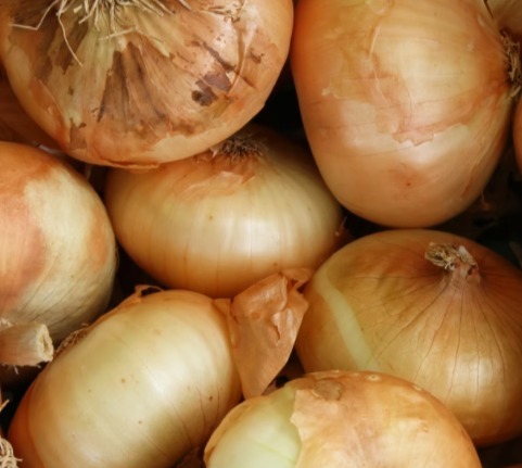 Pile of golden brown onions with papery skins.