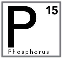 Phosphorus nutrient symbol (P) with atomic number 15.