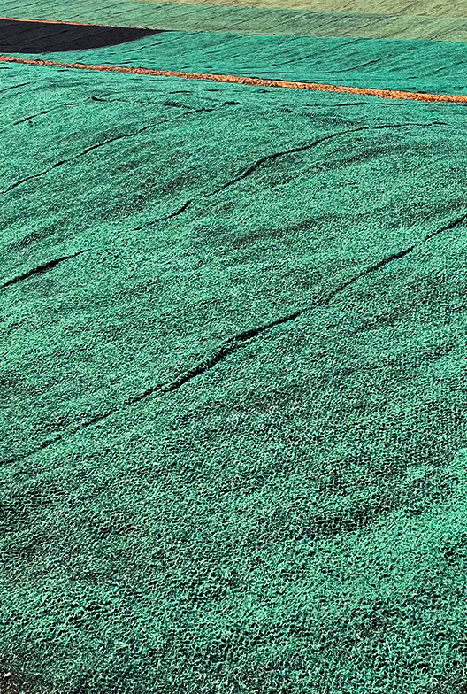Airport grass.