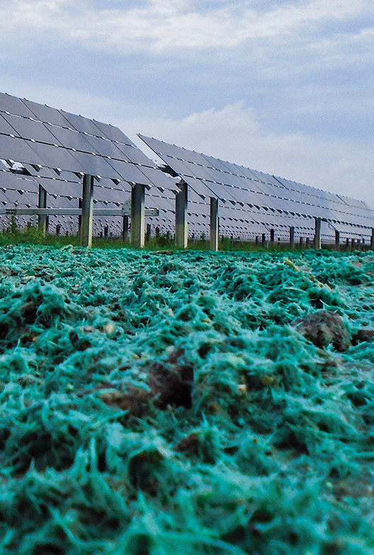 New solar field with product on the ground.