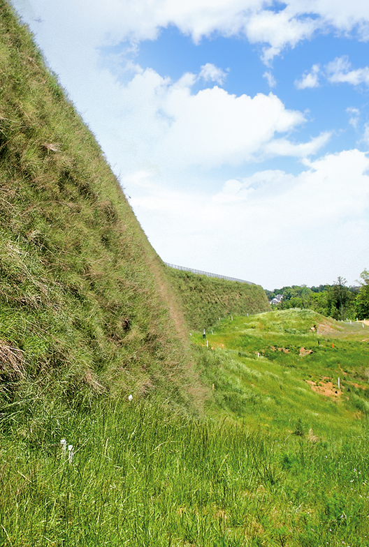 Grass growing on steep hill.