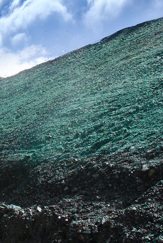 Hill side treated with Profile Products.