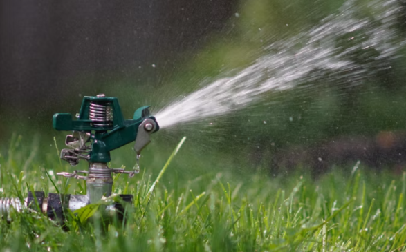 Sprinkler spraying water across a green lawn.