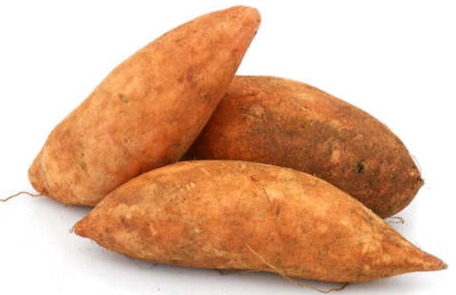 Three whole sweet potatoes with textured brown-orange skins on a white background.