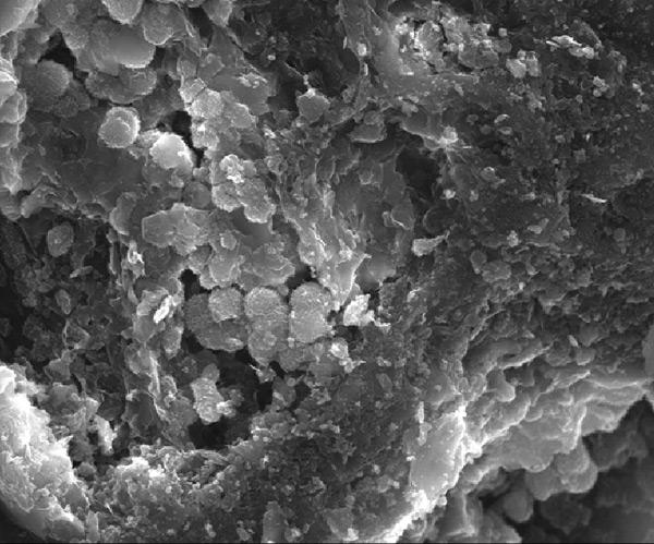 Magnified microscopic view showing layered mineral or soil particles in grayscale.