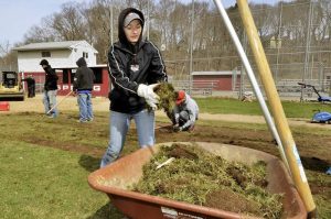 Replacing outfield grass.