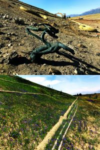 Top: Dry, barren land with construction equipment and a twisted branch. Bottom: The same area now covered with green grass and small purple flowers, showing restoration. Both images have mountains in the background.