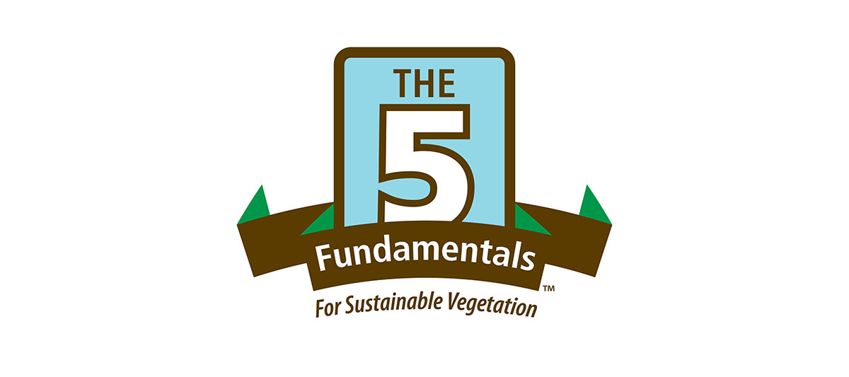Logo with THE 5 Fundamentals in a large outlined box, and For Sustainable Vegetation written below on a ribbon, with green triangles on each side, on a white background.