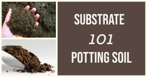 A collage with two images of potting soil and the text, Substrate 101 Potting Soil on a brown and cream background.