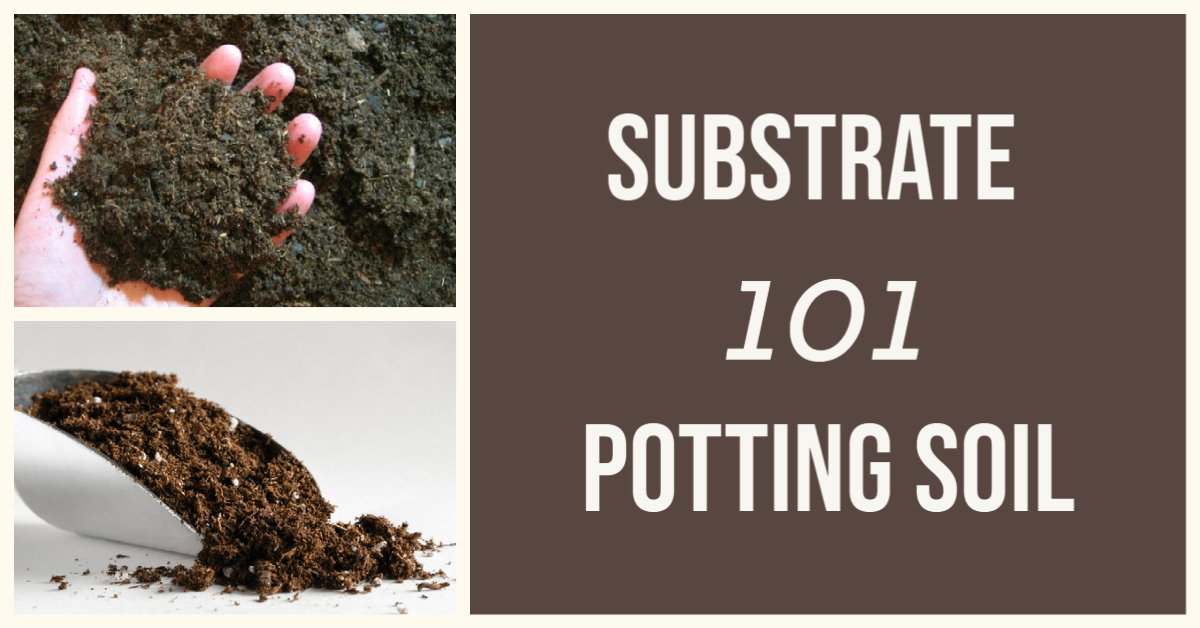 A collage with two images of potting soil and the text, Substrate 101 Potting Soil on a brown and cream background.