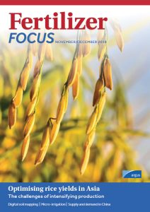 Close-up of rice plants with golden grains on the cover of Fertilizer Focus magazine, November/December 2018, featuring articles on optimizing rice yields in Asia and soil and irrigation topics.