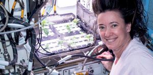 A person with floating hair smiles next to a plant experiment in a space station, surrounded by cables and scientific equipment. Young plants are growing under artificial lights in a specialized chamber.