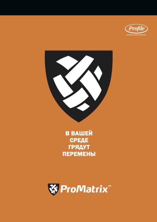 Orange background with a black shield logo featuring white interwoven shapes. Russian text below reads В вашей среде грядут перемены (Change is coming to your environment). ProMatrix branding at the bottom.